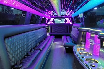 Gardena Limo Interior